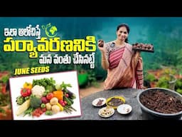 వర్షా కాలంలో ప్రతిఒక్కరూ చెయ్యవలసిన పని / June seeds ​⁠​⁠@MADGARDENER