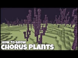 How To Grow CHORUS PLANTS In MINECRAFT