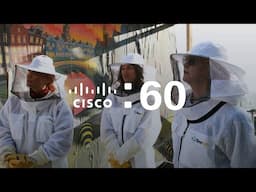 Cisco news in 60 seconds: Connected bees