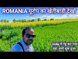 Romania Europe Me गेहूं की फसल अब लगाया हैं | Europe Me Kheti Kaise Hota Hai देखों | Arvind lodhi