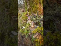 Secret fairy village made from only natural materials 🧌🌲🏕️ #diy #fairyhouse