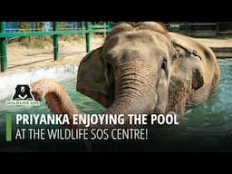 Priyanka enjoying the hydrotherapy pool at ECCC!