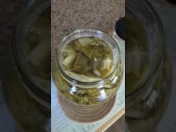 Naturally fermented Vietnamese pickled mustard greens (Dua Cai Chua/Dua Muoi). So good!
