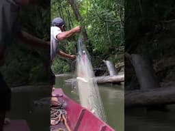 #dayakterbaru #youtubeshorts #nature #gadisdayak #pesonagadisdayak #vlog #iban #dayak