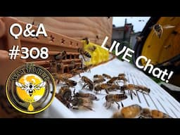 Backyard Beekeeping Q&A 308 Friday LIVE Chat Edition!