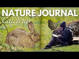 I Made Ink from Gorse Flowers! + A Dartmoor Walk | Nature Journal Vlog