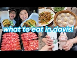 what we ate in a week in davis! 😋 (tacos 🌮, ice cream🍦, dumplings 🥟, shabu 🥩 + more)