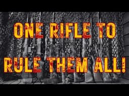 One Rifle to RULE Them ALL! Which One, Setup, Versatility, Theory of Use and Recommendations.