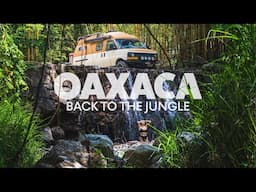 Pines to Palms | Leaving Oaxaca’s Wild Heart for the Humid Coast