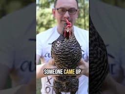 Why Chickens Don’t Move Their Heads