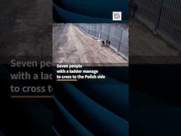 🔴 Illegal migrants broke through the Belarusian-Polish border in half a minute #shorts