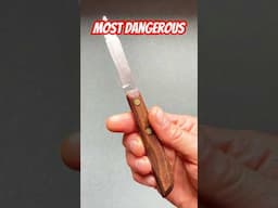 Most dangerous knife in my collection ⚠️‼️