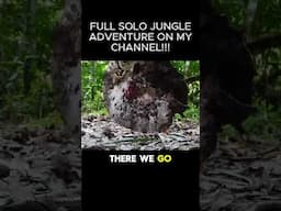 STINGRAY Catch and Cook In Jungle #survival #bushcraft #survivalskills