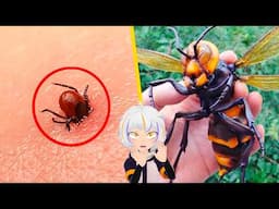 Los 10 Insectos más Peligrosos del Mundo | ChuyMine REACCIONA a BÚHO SABIO