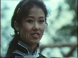 righteous climax to 80s 'fu classic 'The Woman Avenger'