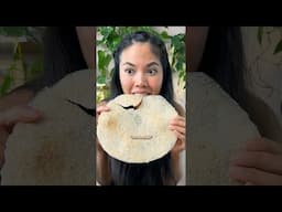 What's this GIANT chip?
