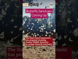 Aralam Butterfly Sanctuary #biodiversity #butterflyserenity #shorts
