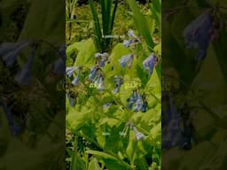 finally figured out how to color grade #adobepartner
