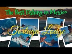 The BEST fishing in Mexico, Tortuga Lodge! Sailfish, Marlin & Roosterfish Heaven!