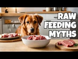 Raw Feeding Myths Busted!
