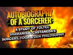 book Trailer YouTube 2025 AOS