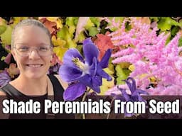 🌿 Start These SHADE PERENNIALS from Seed & Save Big! | Columbine, Astilbe & Coral Bells