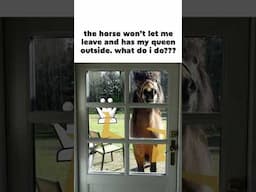 How do I escape??