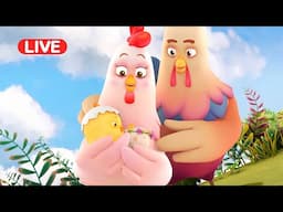 ★LIVE! Como Kids TV | Pat a pat Como full episodes | Cartoon video for kids | Animation