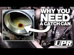 Why you NEED a Catch Can! - UPR Catch Can for 2021+ Ford F-150 3.5L Ecoboost
