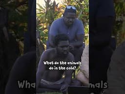 Outback Boys React to Arctic Survival Bushcraft! @OutdoorBoys #DIYTools #ReactShorts #australia