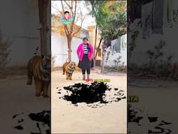 ఎడిటింగ్ సూపర్ చేశారు madam | Telugu funny video | it's me jaya