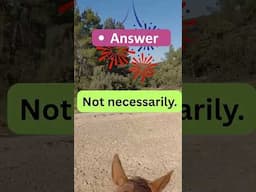 Lazy Horse Tripping on Poles? Here’s What’s REALLY Happening