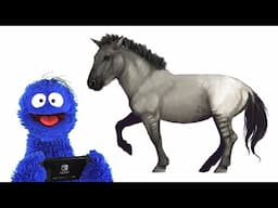 A Big Fat Review of Horse