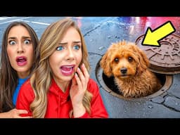 MY DOG IS STUCK IN THE SEWER…