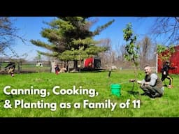 Using Up the Old, Planting the New