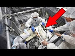 25 Most Incredible Ancient Artifacts Finds