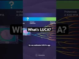 LUCA: Our Last Universal Common Ancestor #biology #science