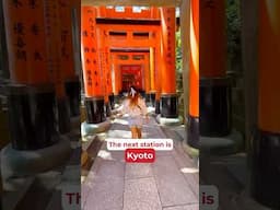 ⛩️ Is Kyoto actually the prettiest place in Japan? Let me show you why YES.