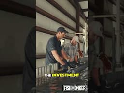 10 Years To Caviar  Fish Farming Investment