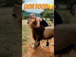 Would you join them?🦁