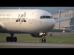 [2006 Itami (伊丹)] JAL Boeing 767-300《JL763 JA8267 ITM110802》
