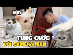 May cho camera man đi thay kính | maly.gaugau