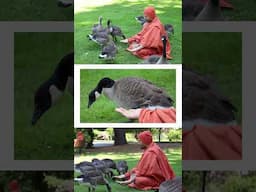 Beacon Hill Park | Victoria | Visit | Hariprakash Swami
