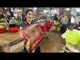 Market show: Buy big fish from local market for cooking / Braised fish with tomato recipe