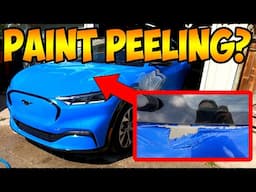 Worried About Your Mach-E’s Paint? Check This Out!