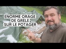 J'essaie de sauver le potager d'un énorme orage de grêle 😱