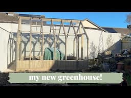 My beautiful new greenhouse!