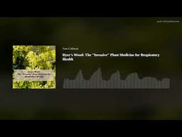 Dyer's Woad: The "Invasive" Plant Medicine for Respiratory Health