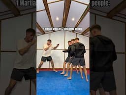 How many normal people can a martial artist beat?