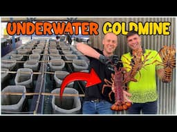These Lobster Farming SECRETS Only Successful Farmers Know